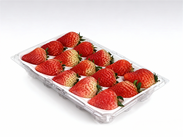 草莓包装吸塑盒